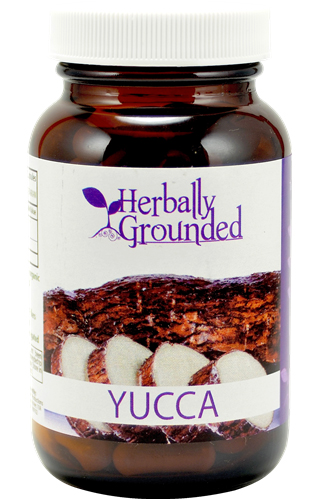 yucca-root